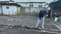 "Ардагерім-ардағым" акциясы аясындағы іс-шаралар