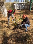 Научно - исследовательский студенчески клуб "ЭКО Life" приняли участие в посадке деревьев