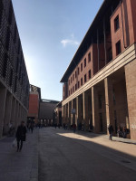 Report about passage of studies at the University of Florence, Florence, Italy under the program of academic mobility