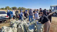 «Eco-clean-up: university students for cleanliness and waste recycling»